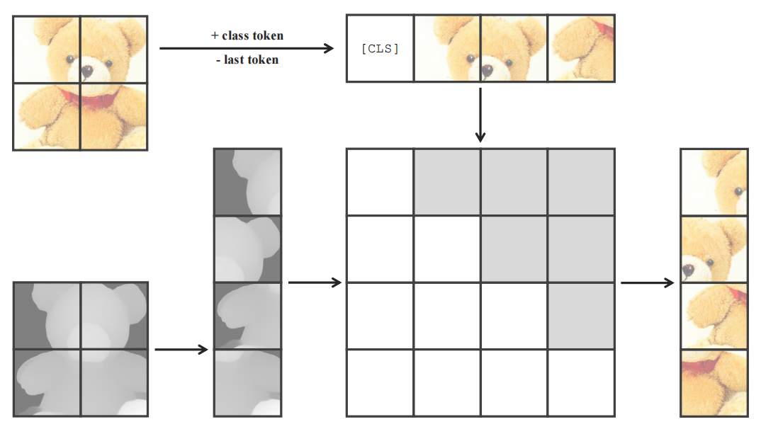 preliminary image.